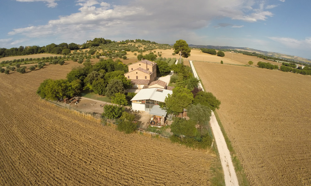 Riprese videofotografiche di vario genere su esigenza della Committenza